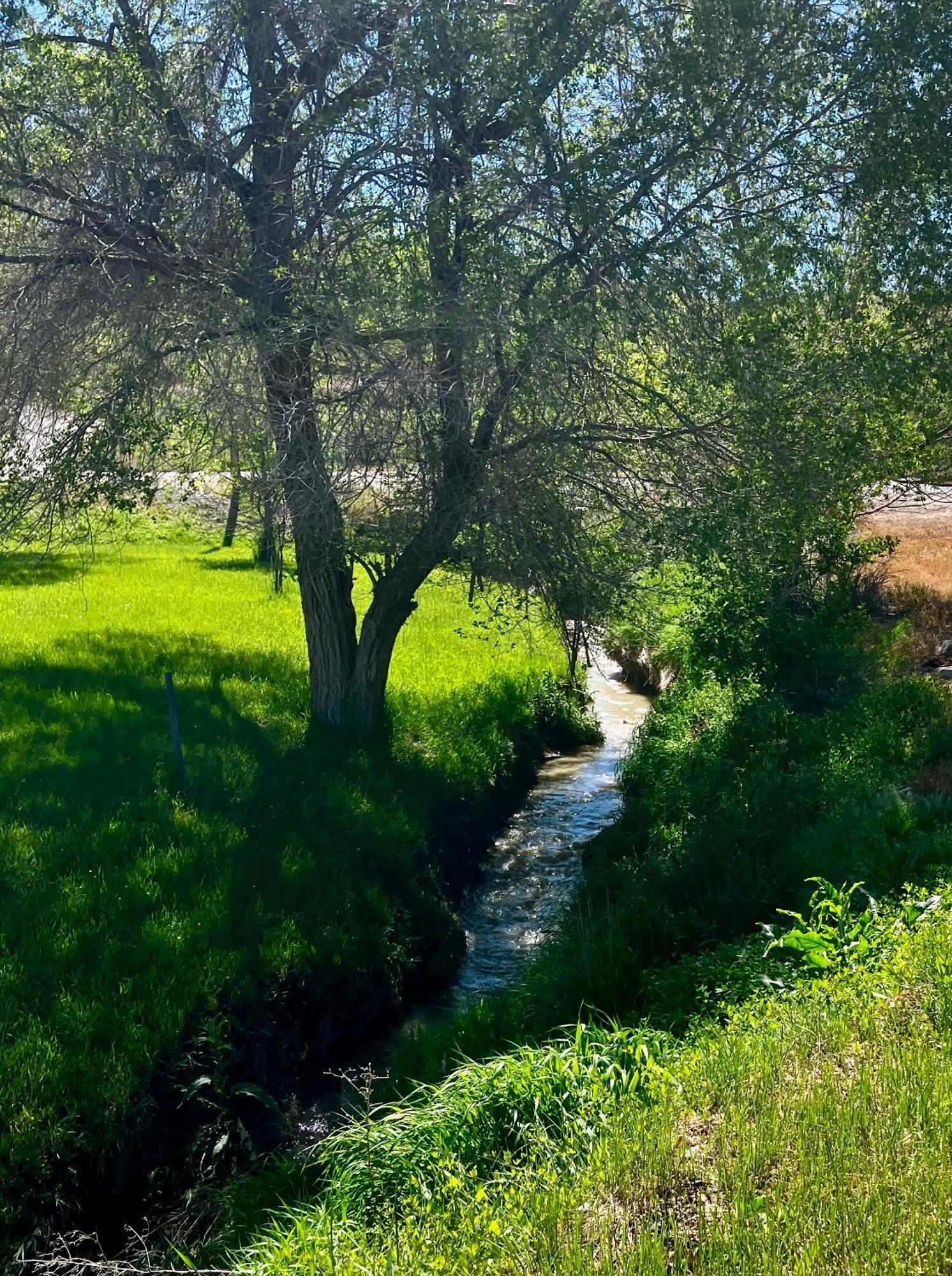 Let'S Go ! Fisherman, Families, Pools One Minute From Your Door, Comfort, Location Perfect, Amenity-Rich, Pup Friendly, Discover An Exceptional Wyoming Stay, Thermopolis River Walk Home At Hot Springs State Park, 'Where Families And Fisherman Stay' ภายนอก รูปภาพ