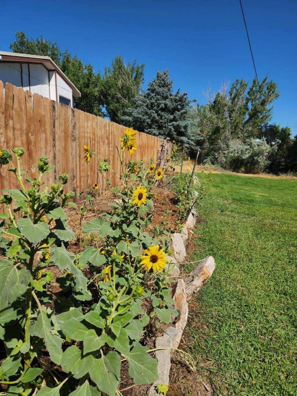 Let'S Go ! Fisherman, Families, Pools One Minute From Your Door, Comfort, Location Perfect, Amenity-Rich, Pup Friendly, Discover An Exceptional Wyoming Stay, Thermopolis River Walk Home At Hot Springs State Park, 'Where Families And Fisherman Stay' ภายนอก รูปภาพ